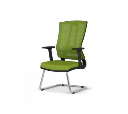 EDEN MİSAFİR KOLTUĞU